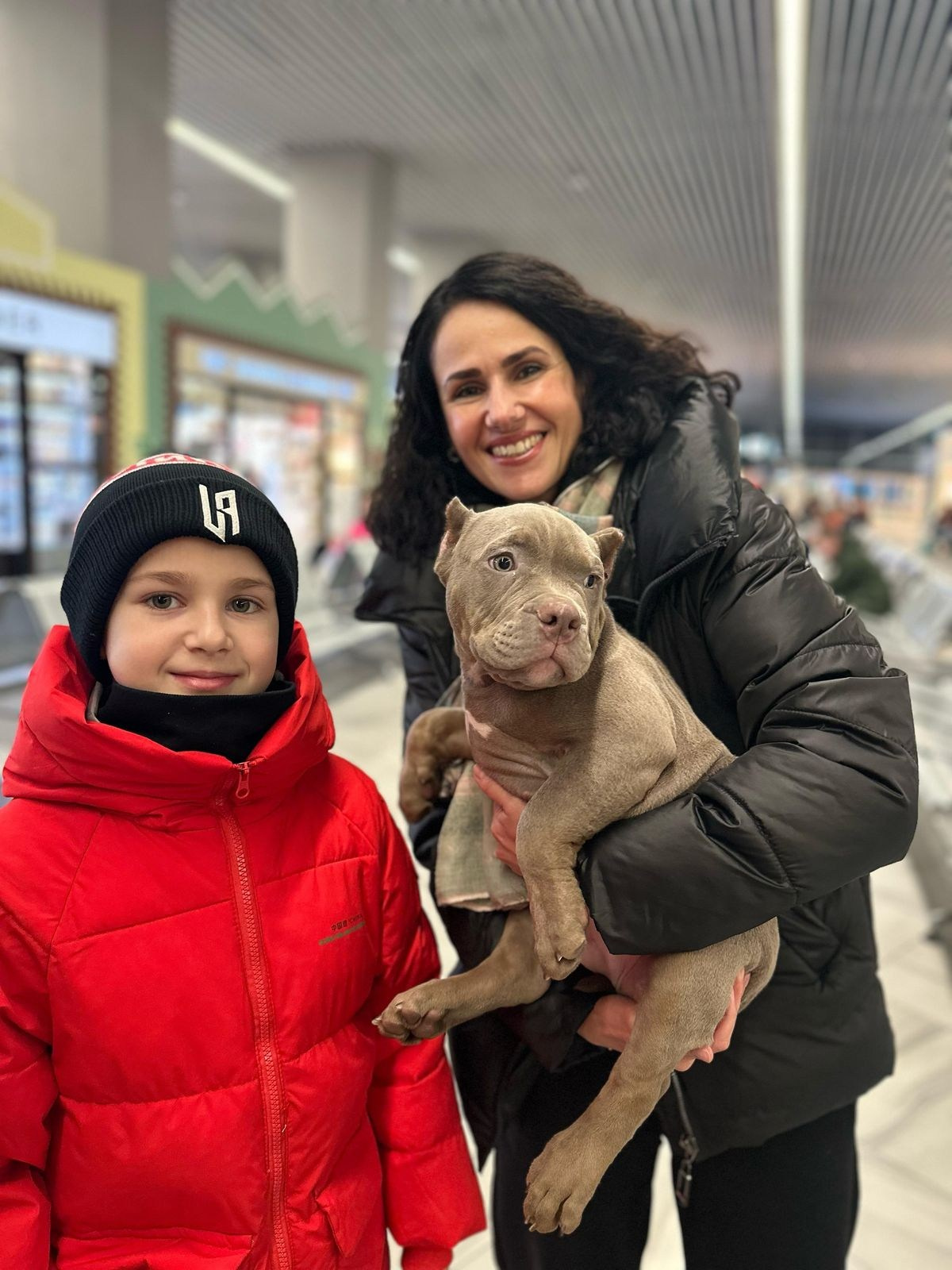 официальный питомник American Bully в ДНР