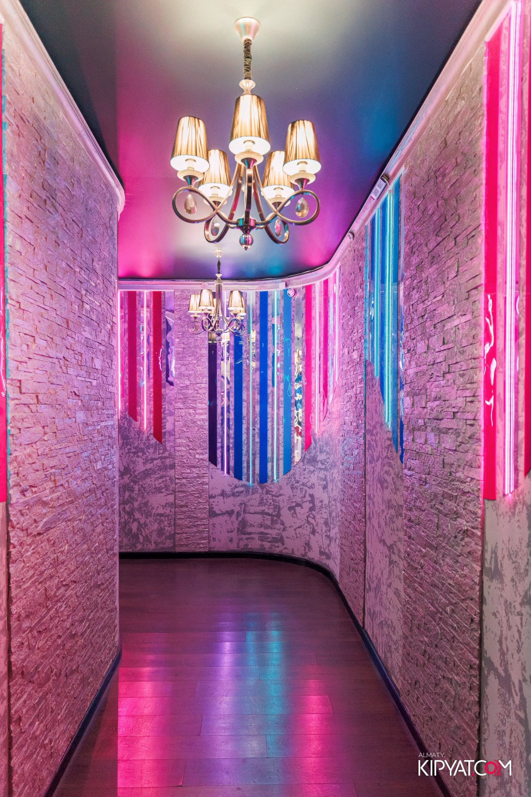 УХО И МЕДВЕДЬ НА ГАГАРИНА. КИПЯТКОМ АЛМАТЫ!