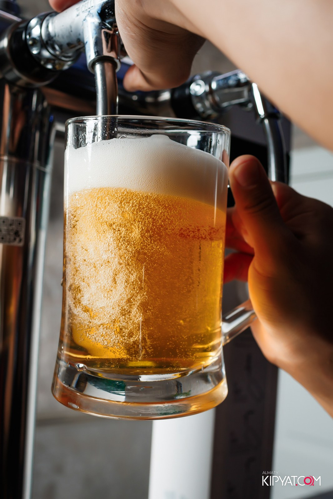 УХО И МЕДВЕДЬ НА ГАГАРИНА. КИПЯТКОМ АЛМАТЫ!