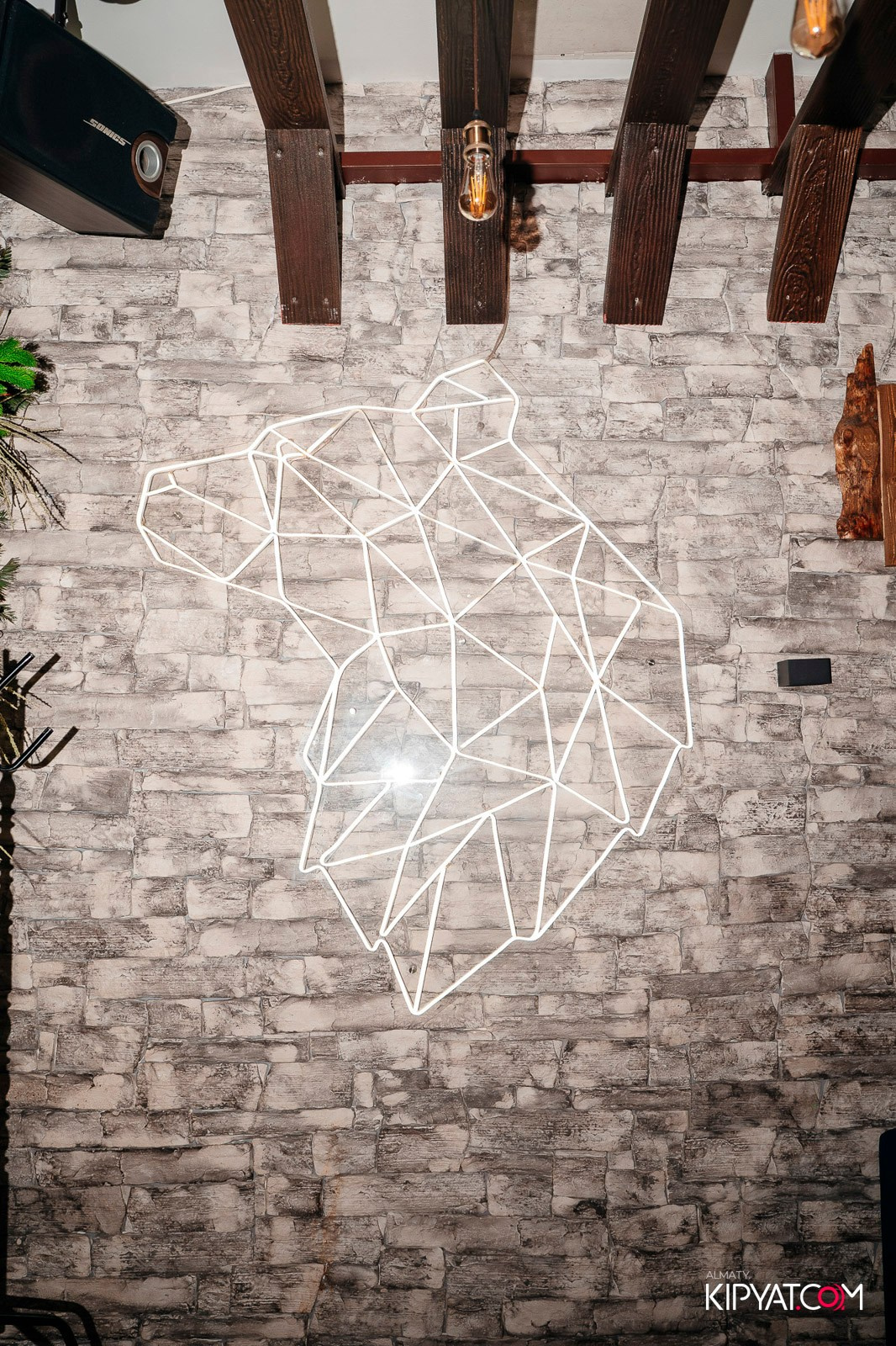 УХО И МЕДВЕДЬ НА КУРМАНГАЗЫ. КИПЯТКОМ АЛМАТЫ!