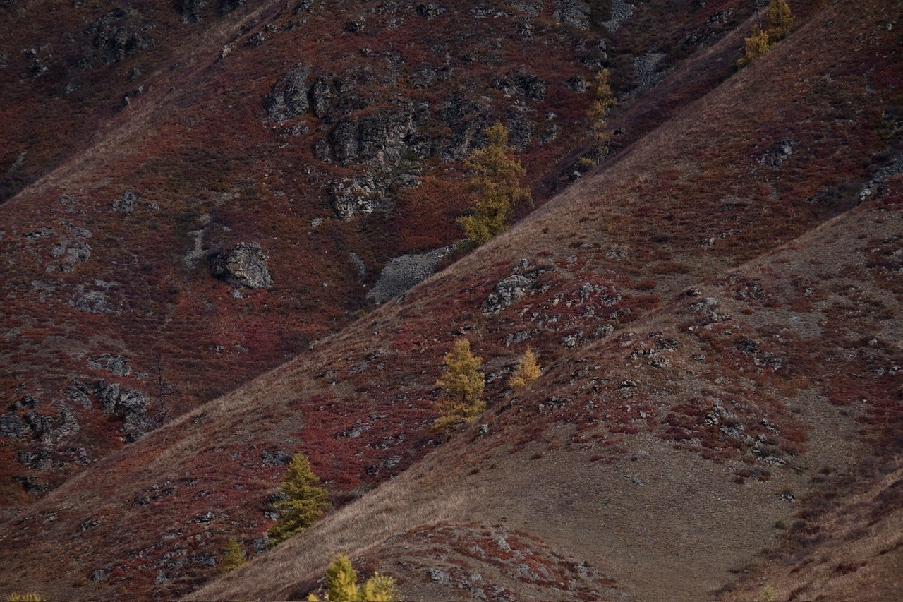 Алтай. Фотограф Евгений Андреев
