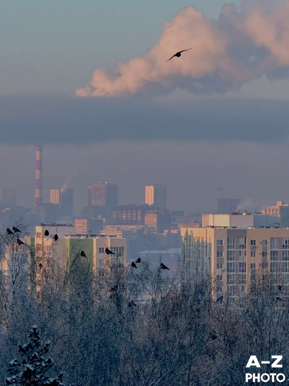 #ФОТОНЕДЕЛИ 02.02.2026. Женский семейный фотограф Тула Москва Захарова Анна