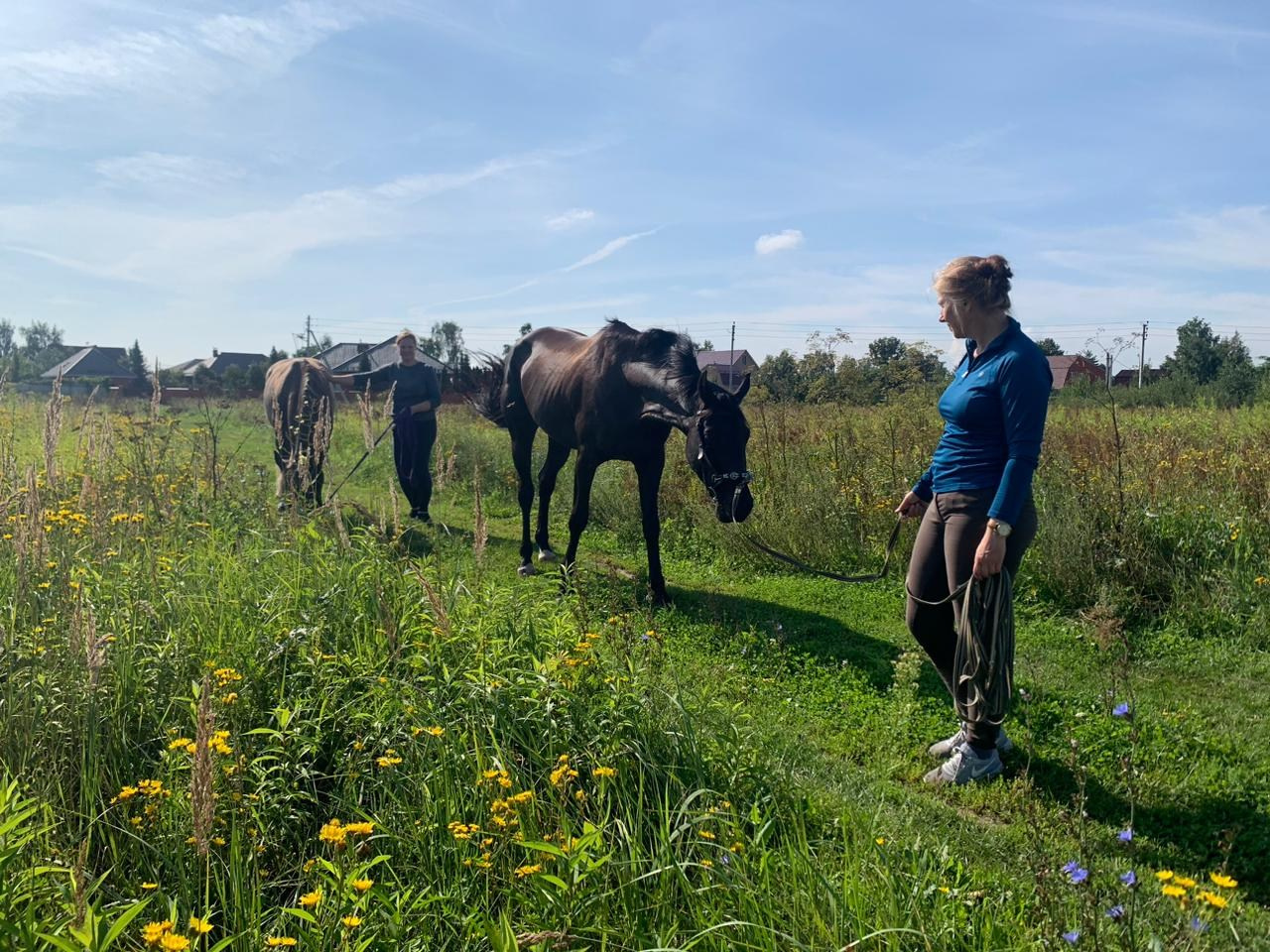 Endurance Rider Webinar Kazakhstan 2025. Liana Antanovich | Equestrian Strategies