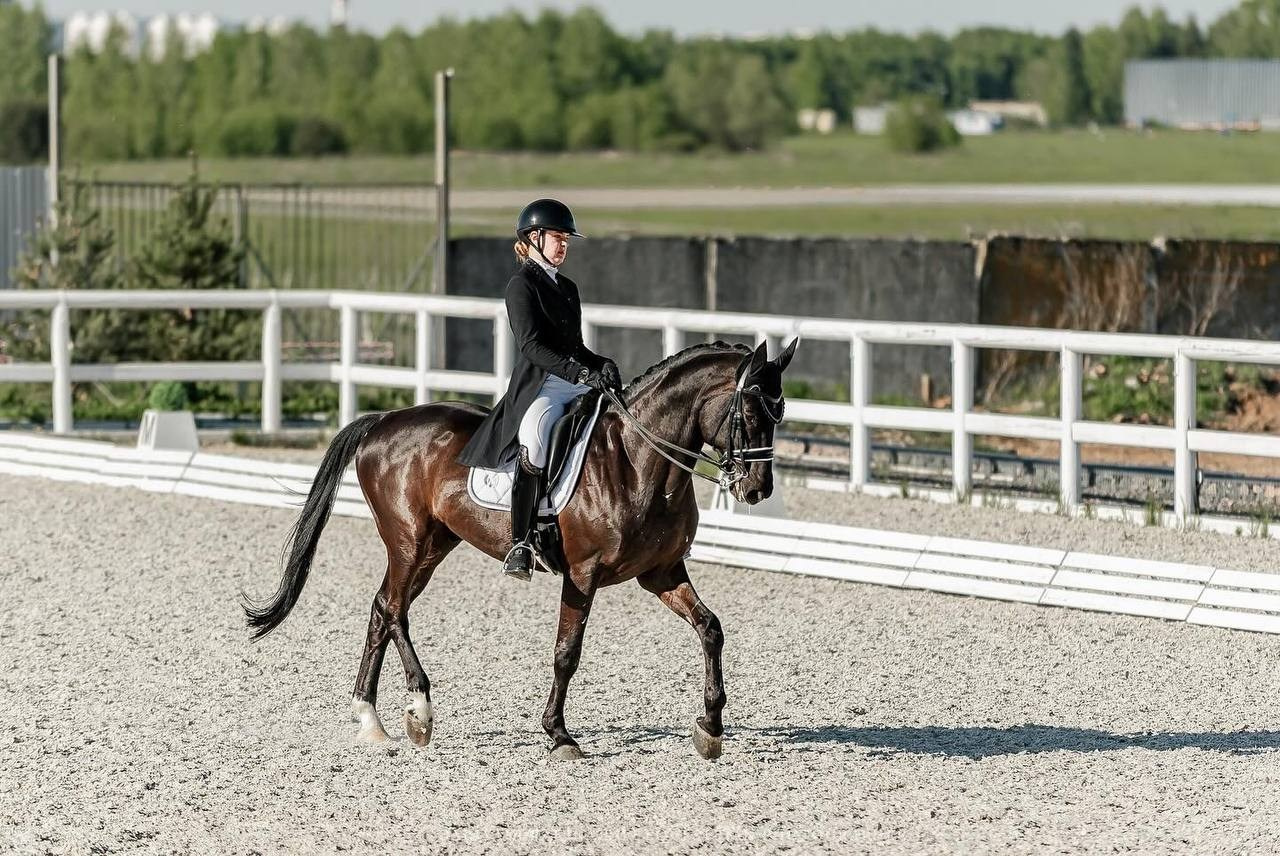 ППЮ ВСЕРОССИЙСКИХ СОРЕВНОВАНИЙ ПО ВЫЕЗДКЕ «LA TULIPS». Конный фотограф Куракина Дарья • Фотосессии с лошадьми