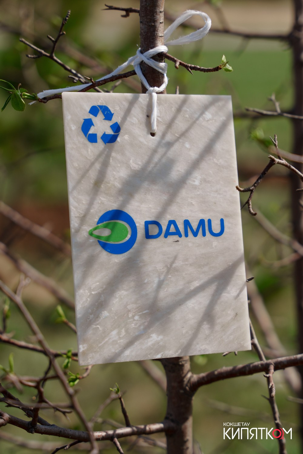 HCB ЗЕЛЕНАЯ АЛЛЕЯ. КИПЯТКОМ КОКШЕТАУ