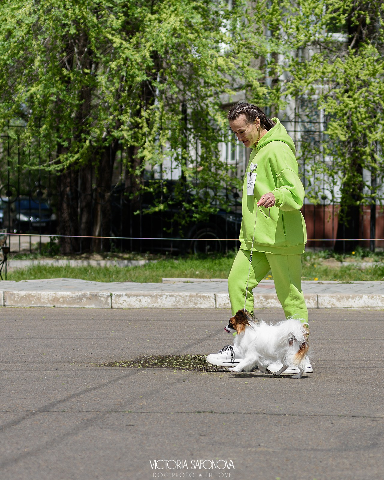 18–19 мая 2024 Благовещенск. Фотограф анималист Благовещенск. Сафонова Виктория