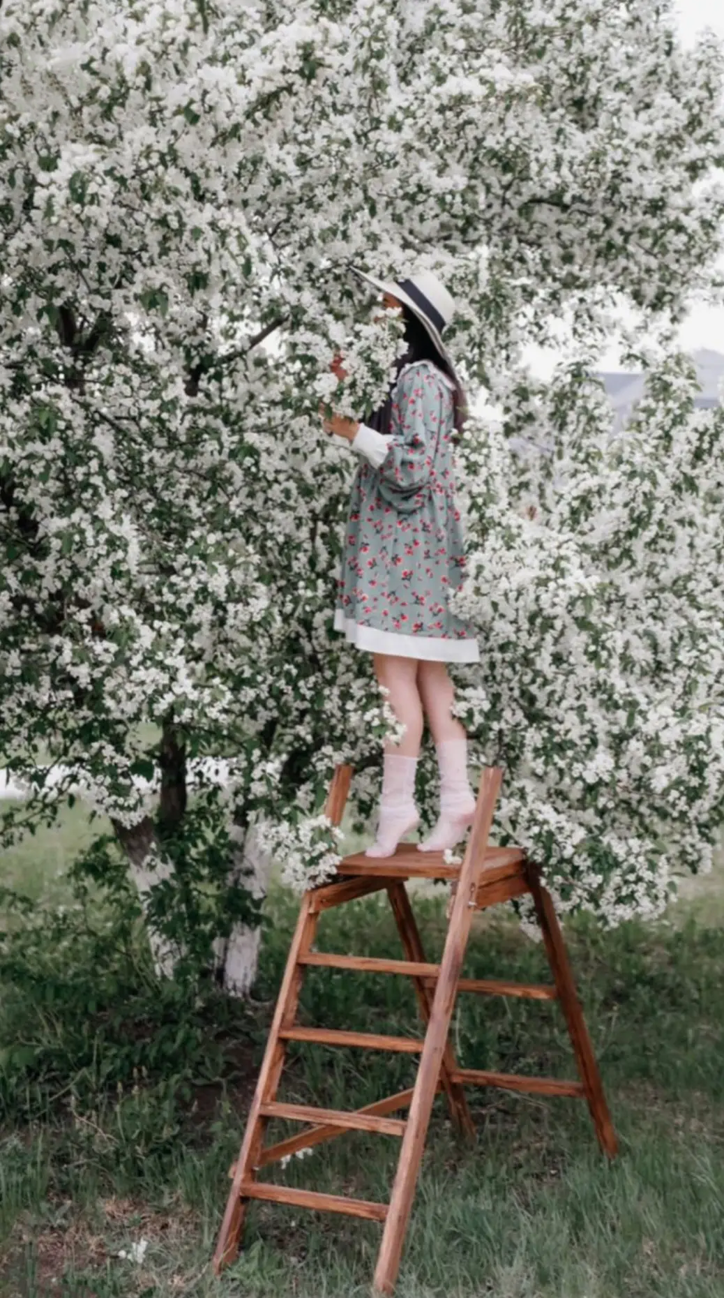 Летние фотопроекты