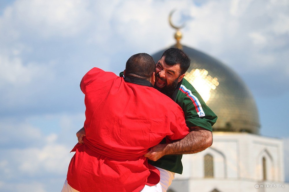 Двадцать пятый. Mik25