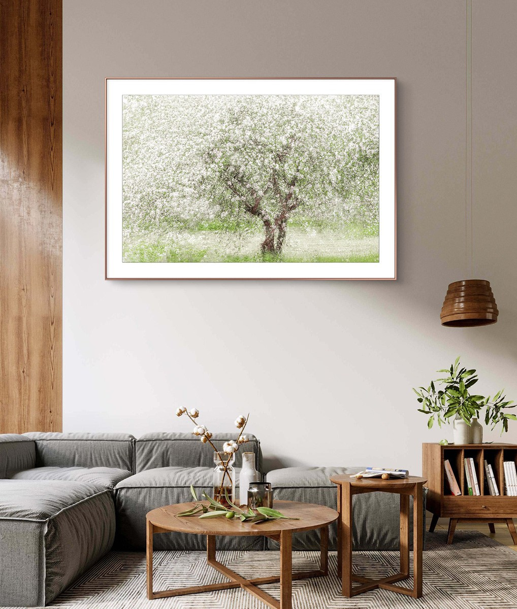 Contacts. LUMEN DUO Art photography for interiors