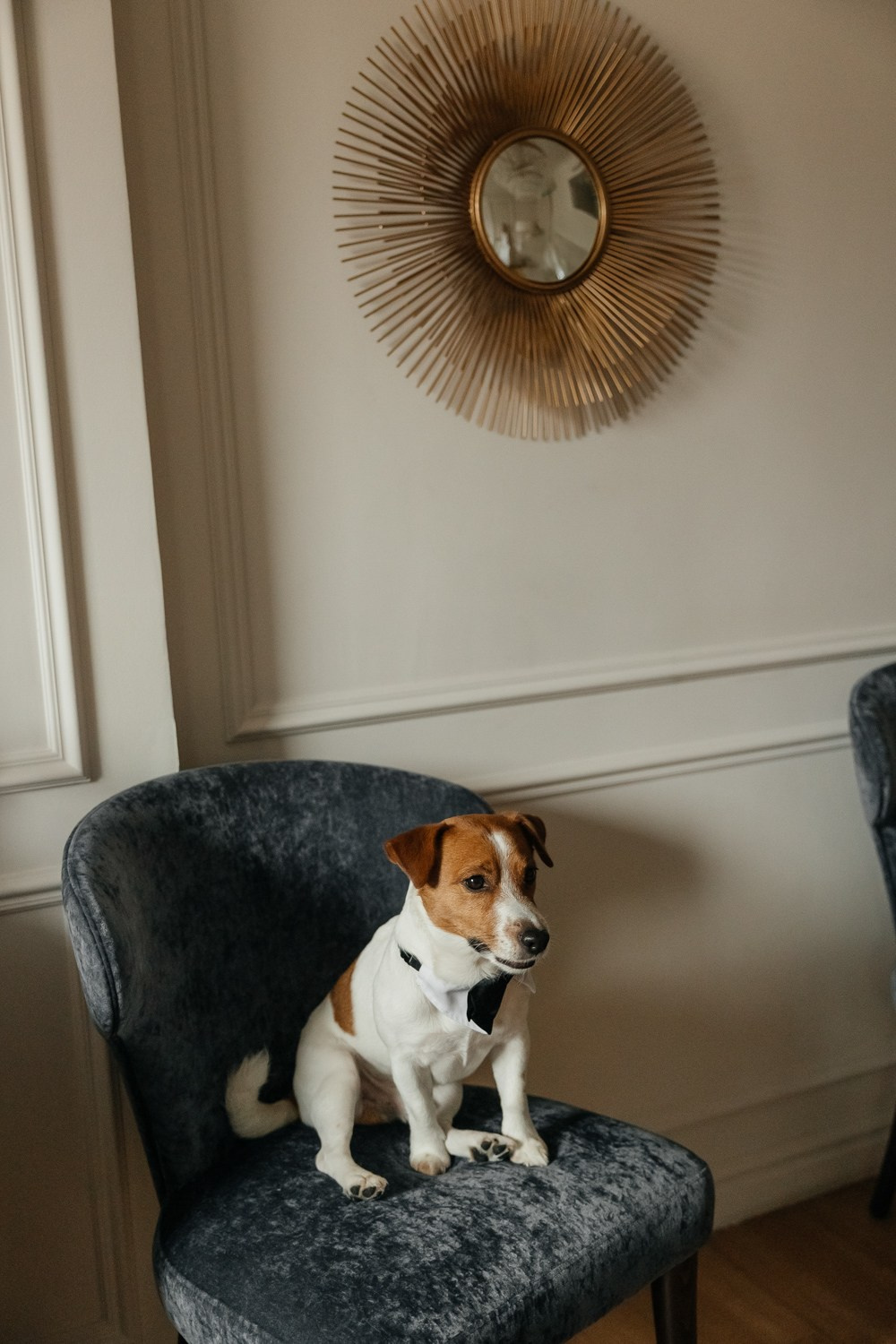 Timeless. Свадебный фотограф Москва