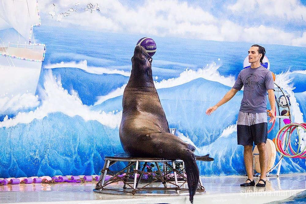 Дельфинарий. Детский и семейный фотограф, фотограф мероприятий Нижний Новгород