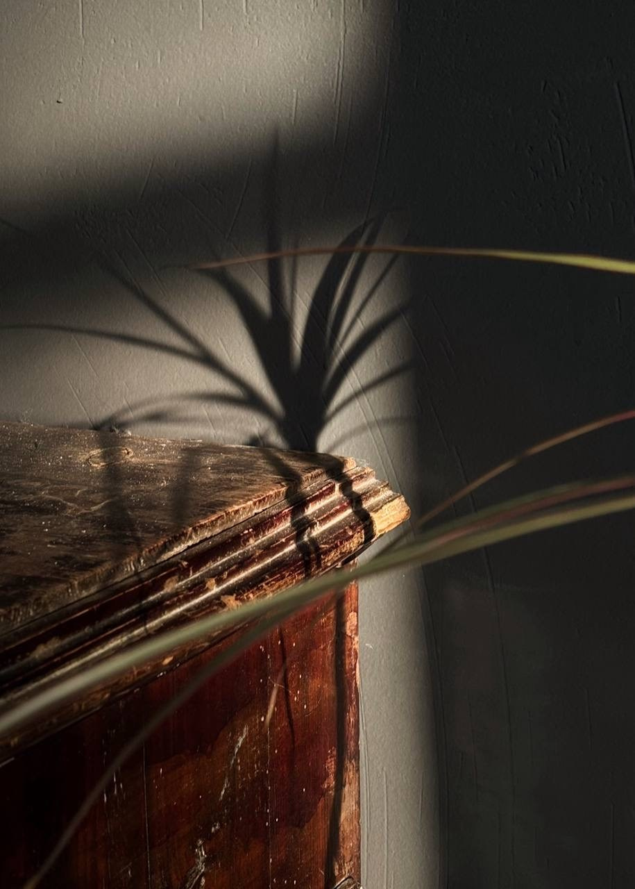 Фотостудии г.Липецк. Фотограф Екатерина Лёвушкина