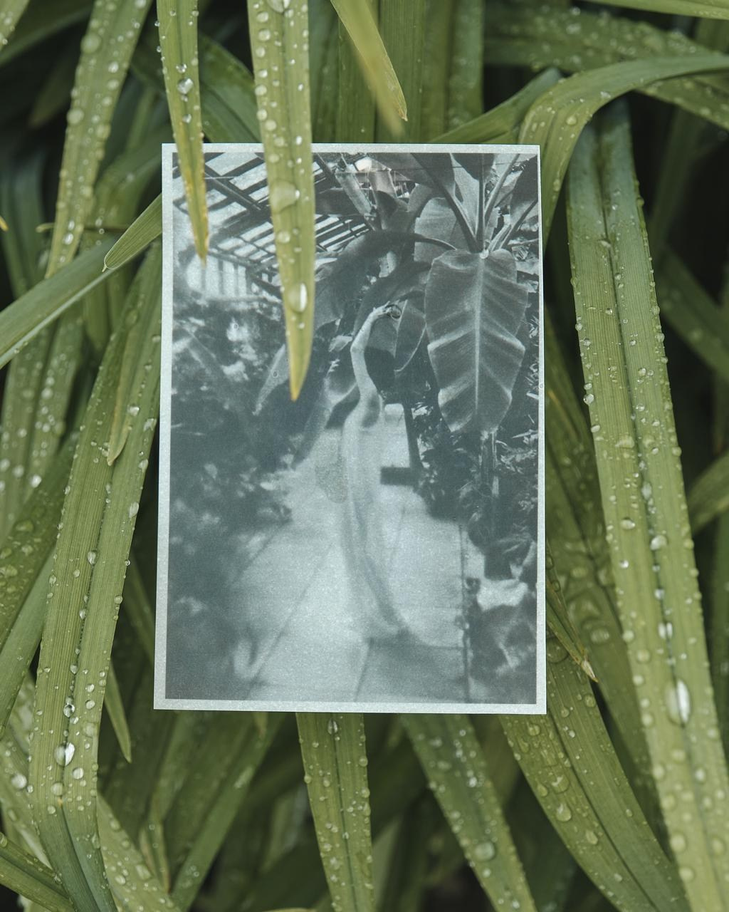 Exhibition for rain. Контент-креатор Паша Норицын