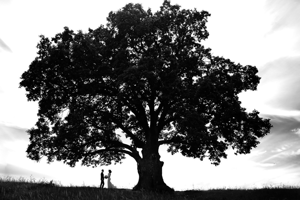 Избранные фотографии. Свадебный фотограф СПБ