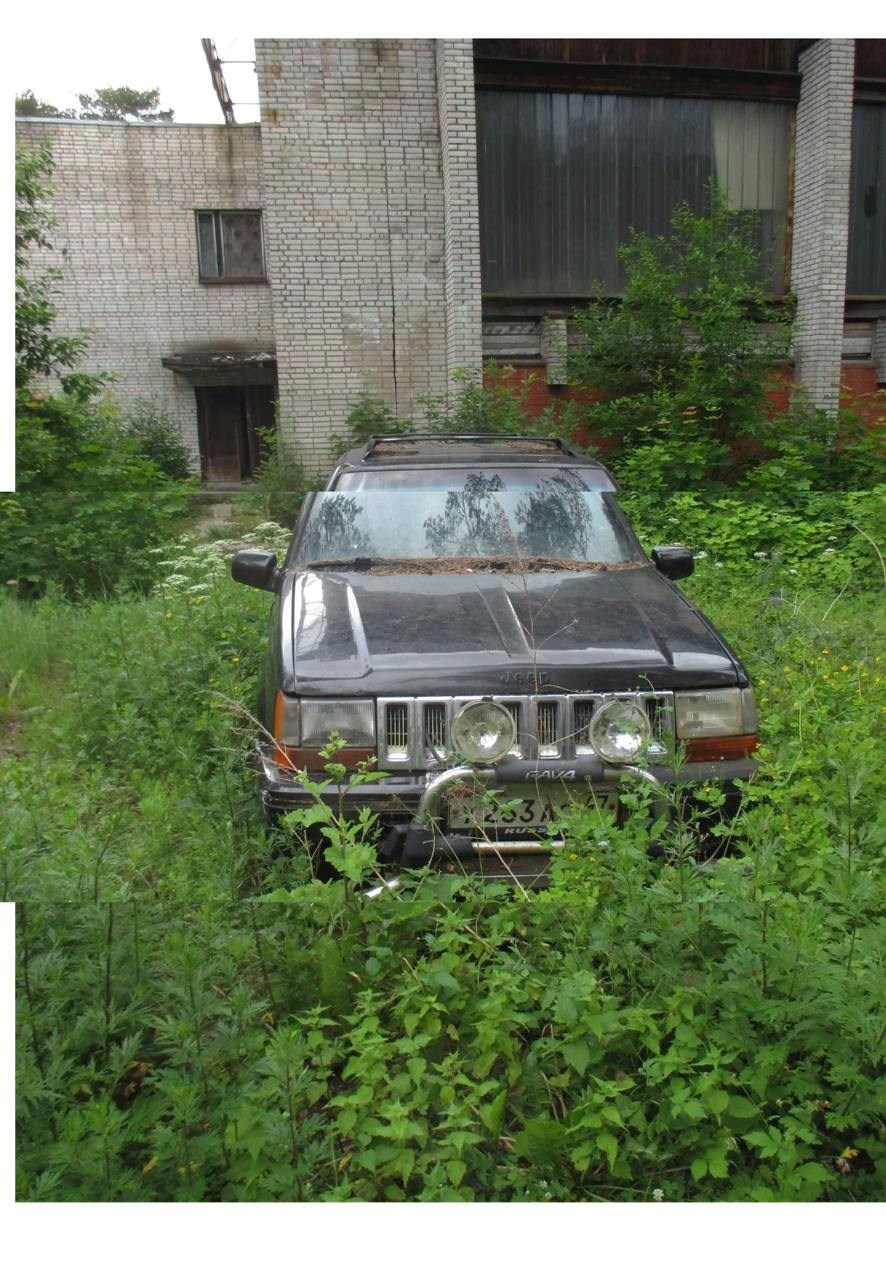 GULF OF FINLAND TRIP' June 2024. Nik Paustovskiy photography