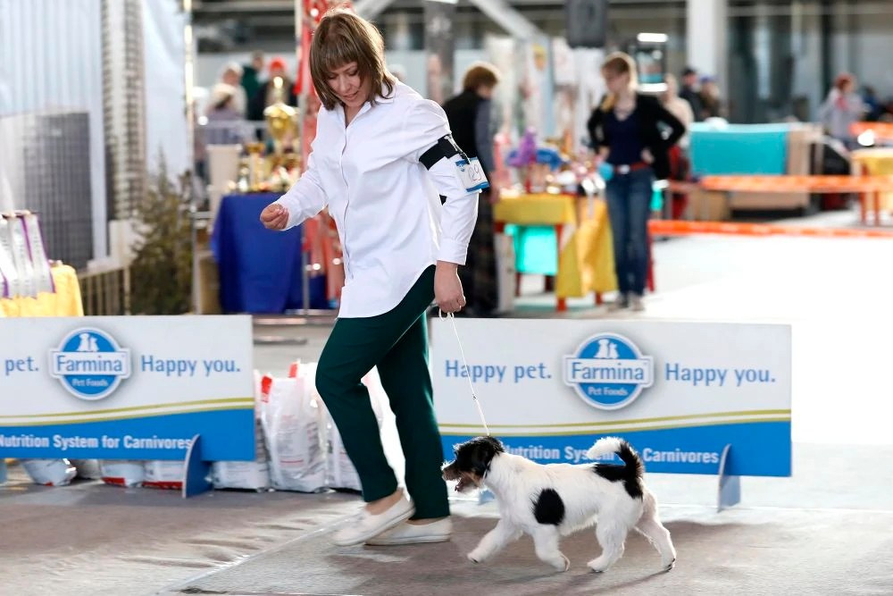 Port Fortis Destiny Of Love