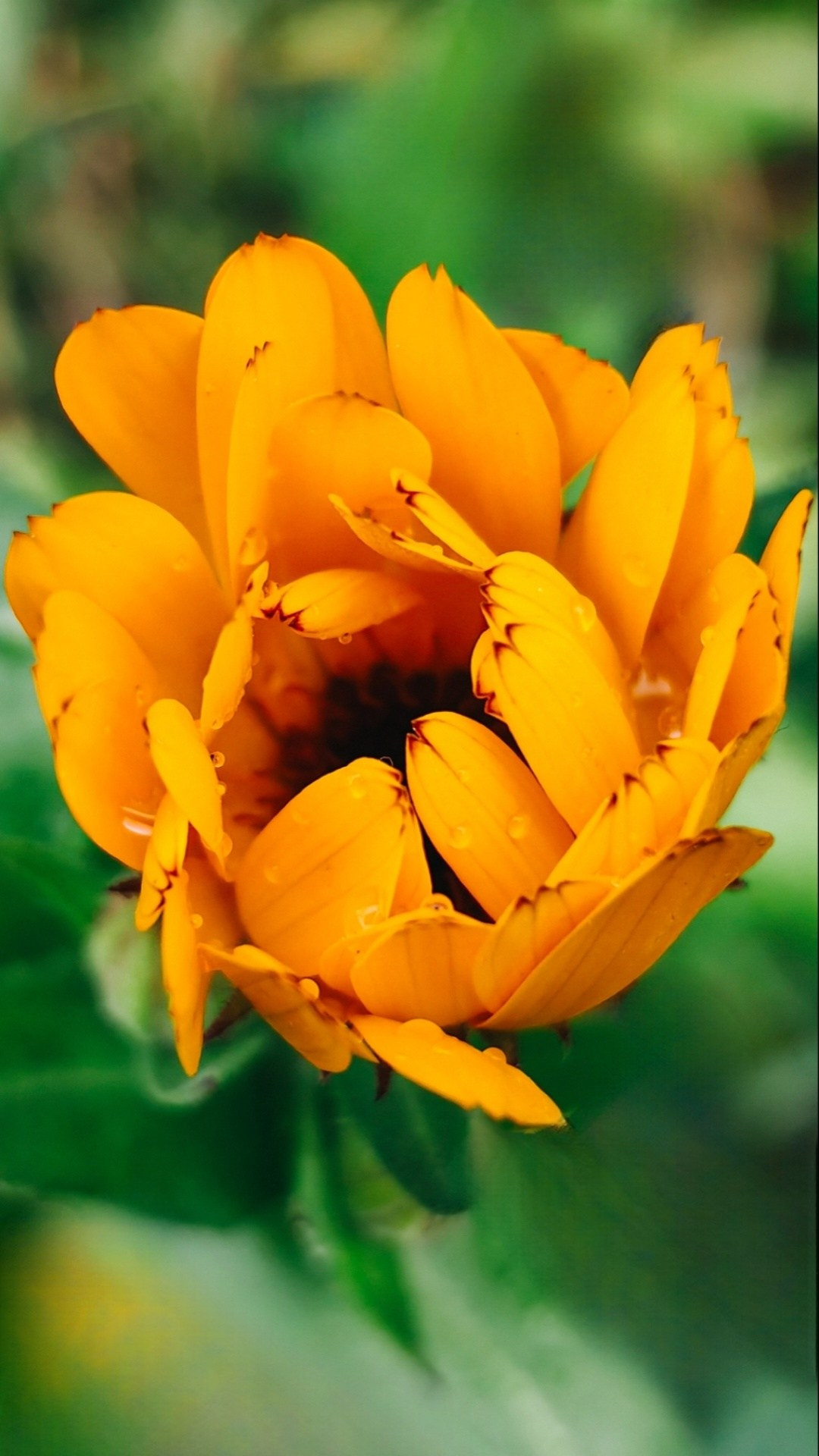 Академия фотографии. Фото/Ретушь/Обучение