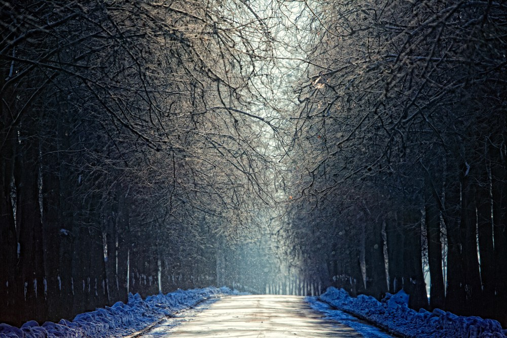 Landscape photography. Photographer Kirill Sergeev | Moscow