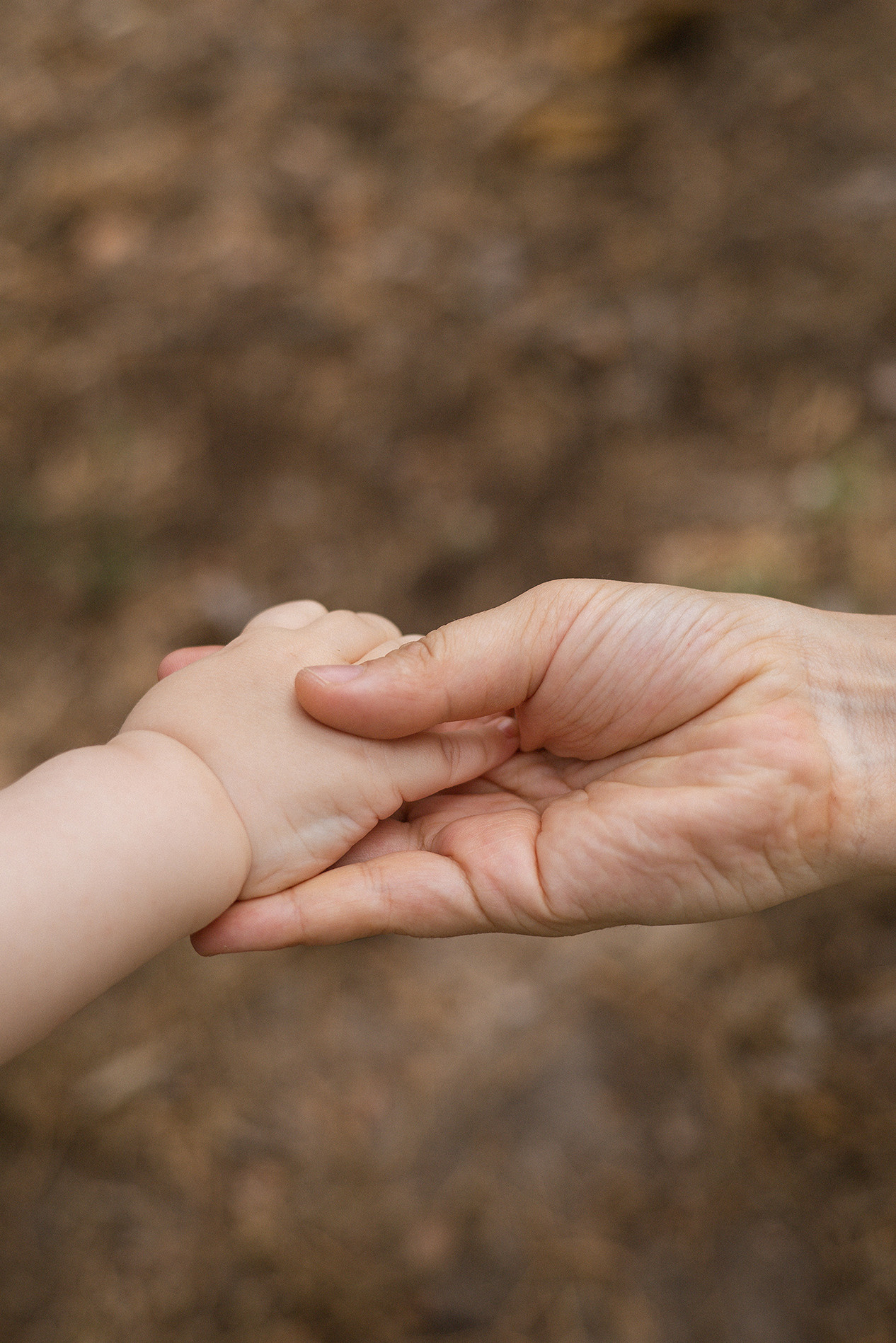 Family | forest. Орлова Мария фотограф Волгоград, Камышин