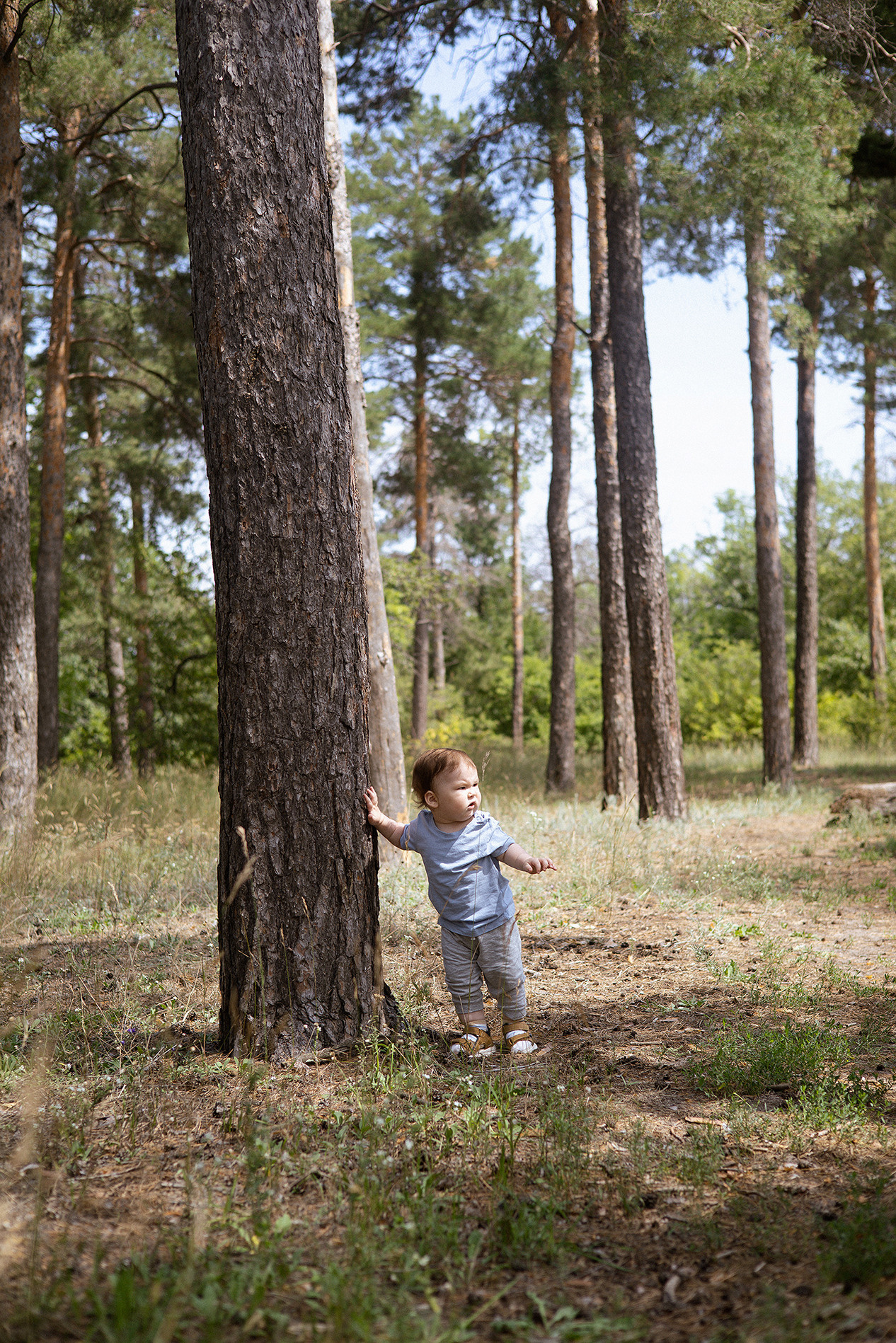Family | forest. Орлова Мария фотограф Волгоград, Камышин