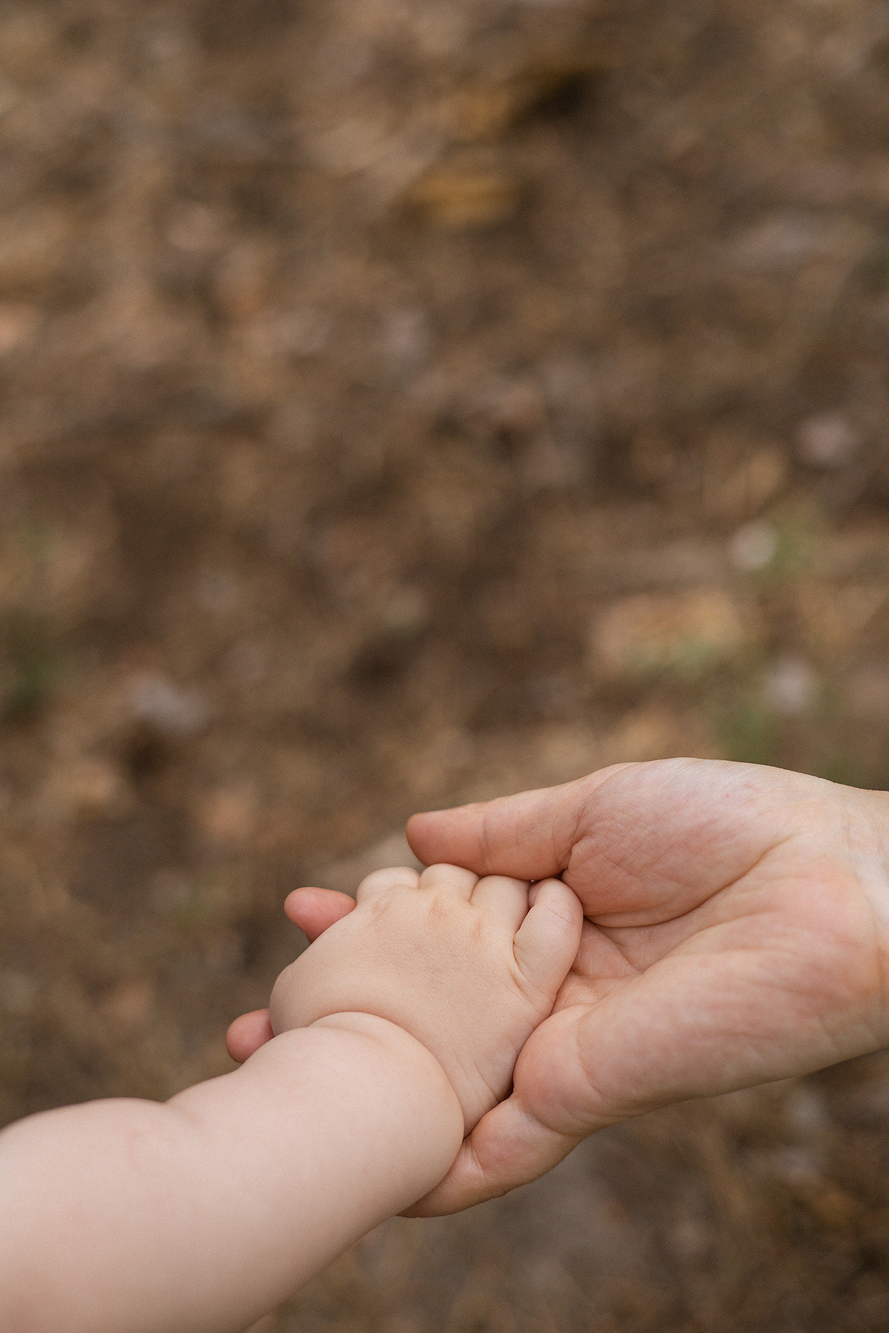 Family | forest. Орлова Мария фотограф Волгоград, Камышин
