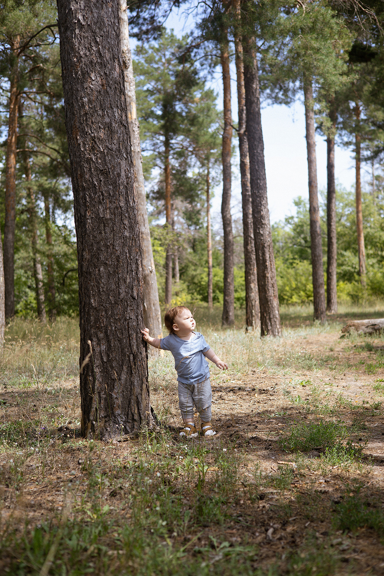 Family | forest. Орлова Мария фотограф Волгоград, Камышин