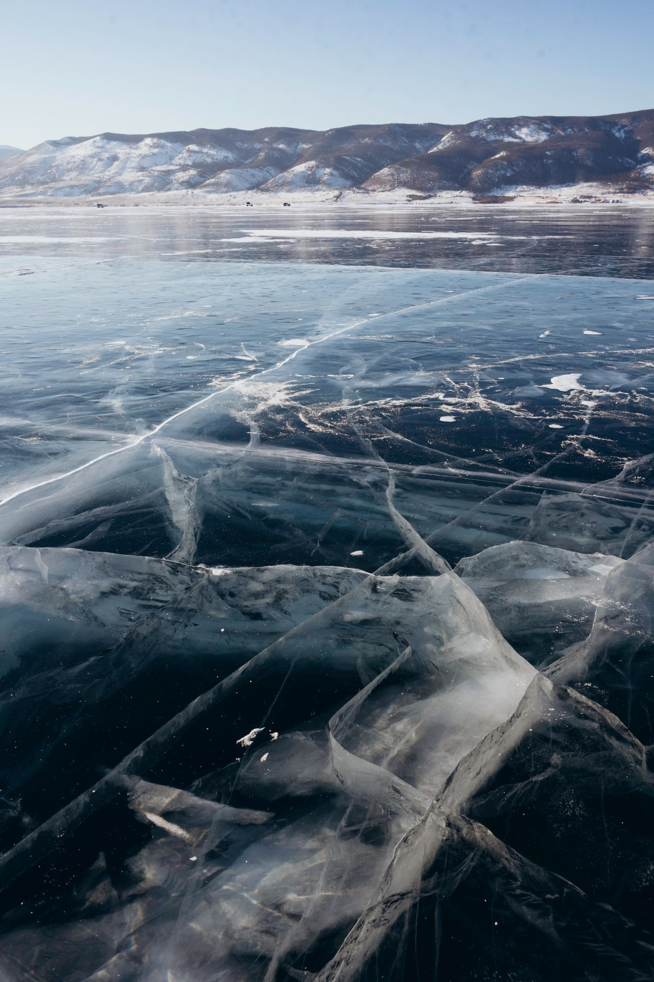 Антонина Пехова | Отзывы