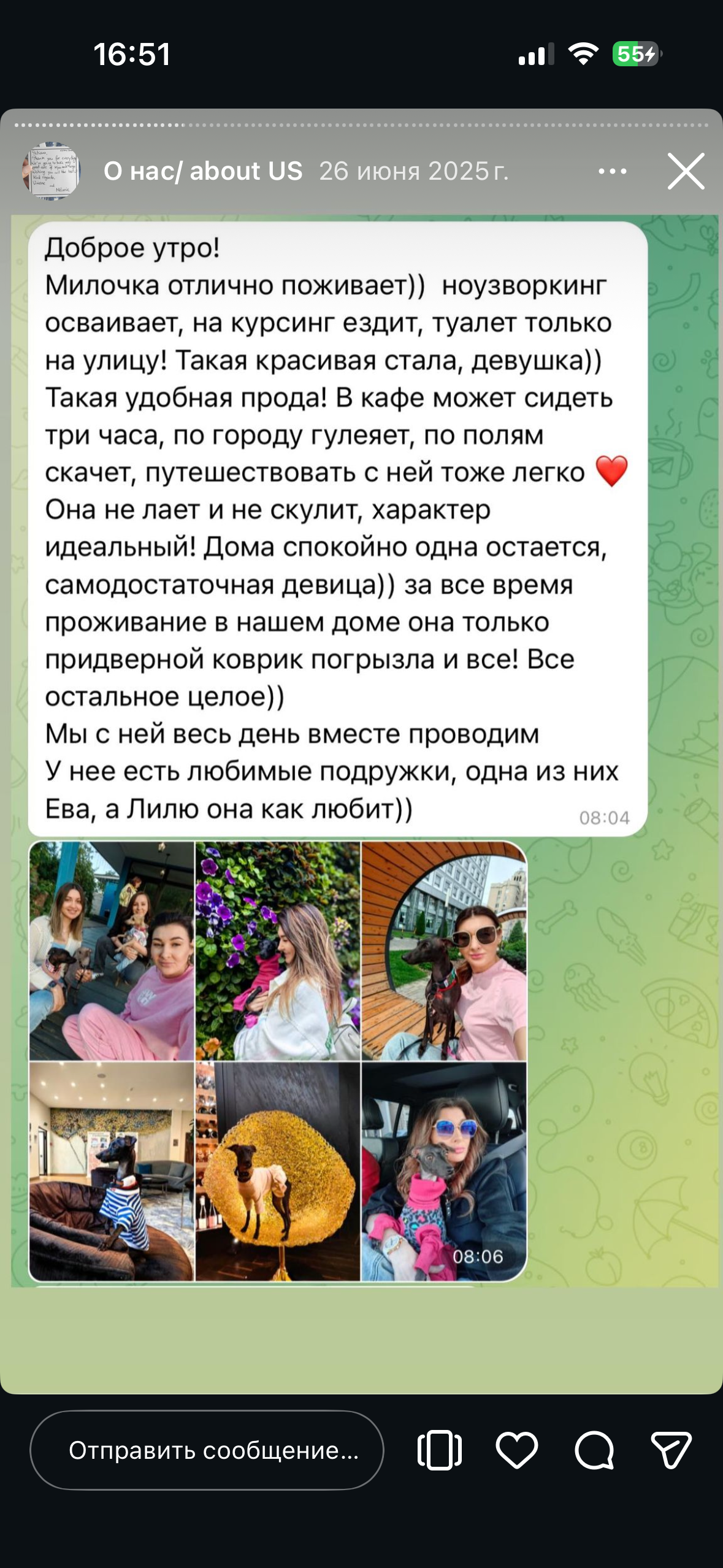 Отзывы от наших любимых владельцев. Профессиональный питомник левреток РКФ/FCI ASTI SAPPHIRE 💎 Сочи|Санкт-Петербург