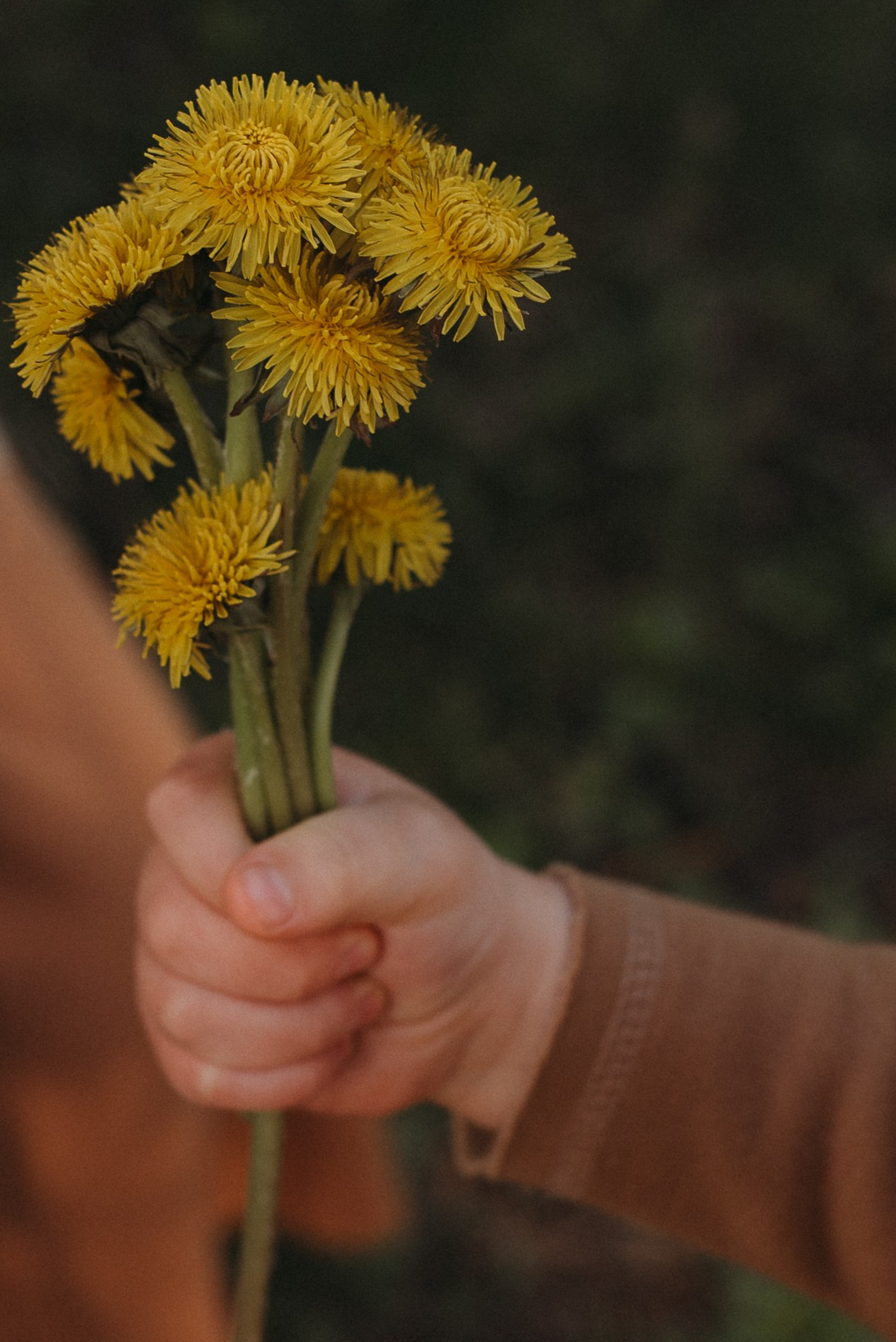 Таня и Илюшка. Семейный и детский фотограф в Новосибирске и Краснообске — Анна Ким