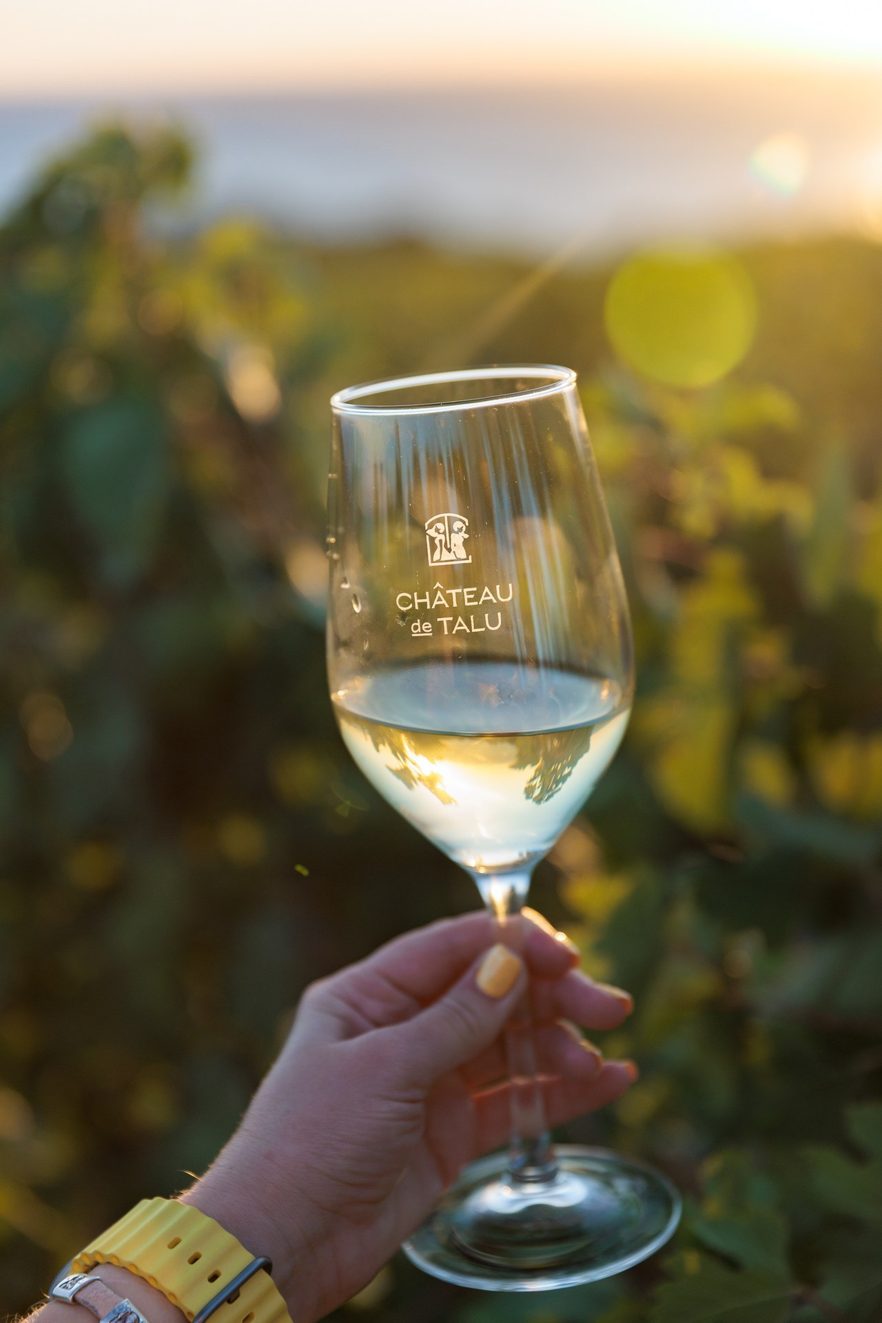 Отзывы. Свадебный фотограф в Геленджике Мария Четверикова