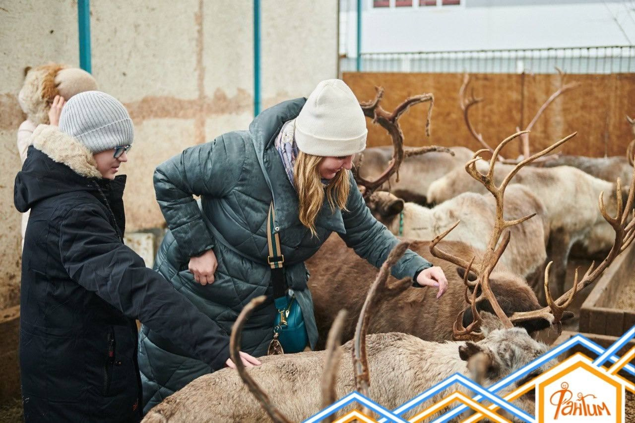 В гости к северным оленям | 18.01.2025. Галерея Фантим