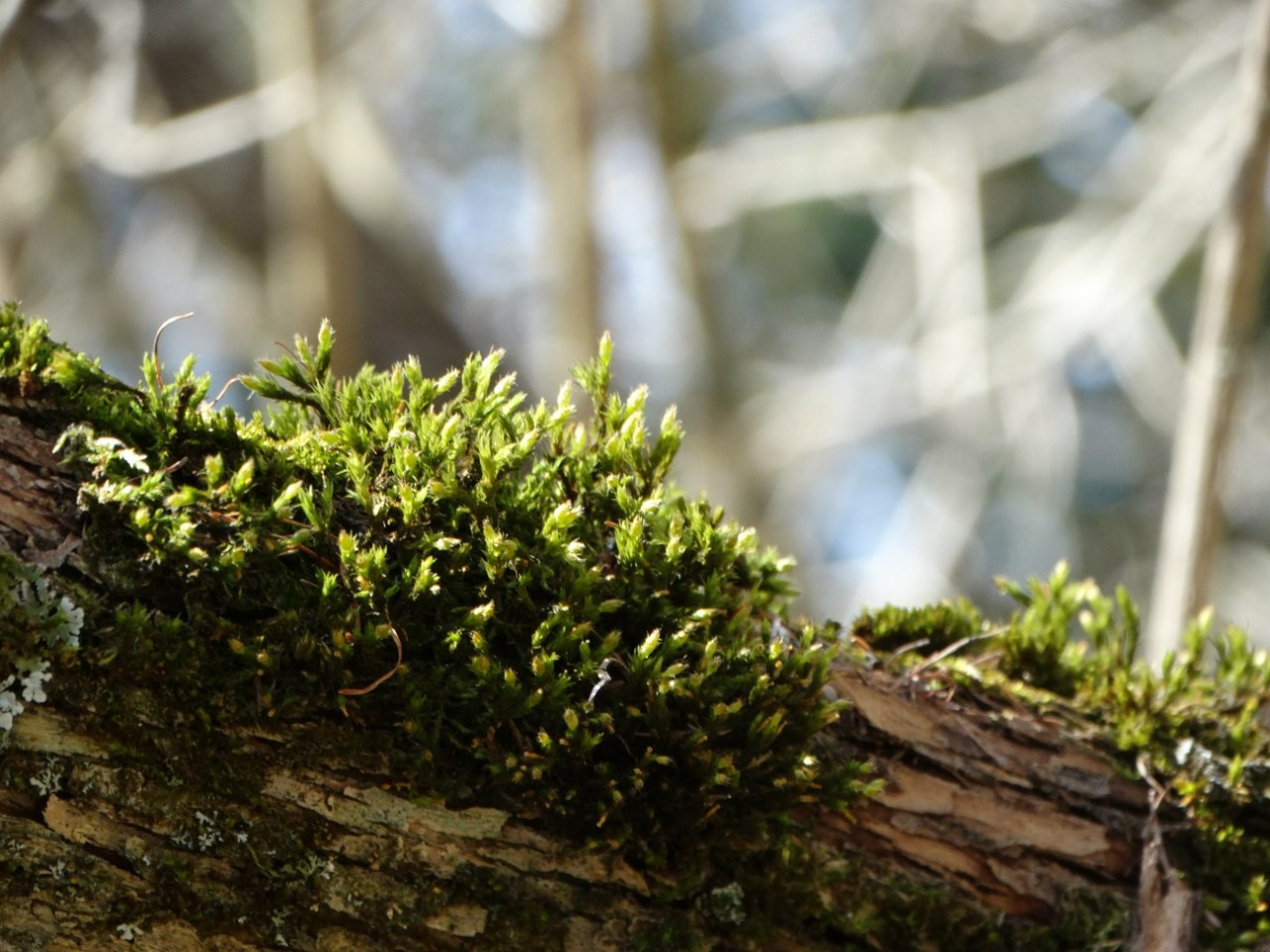 «Весенний переполох» Загородный выезд | 16-17.04.2016. Галерея Фантим