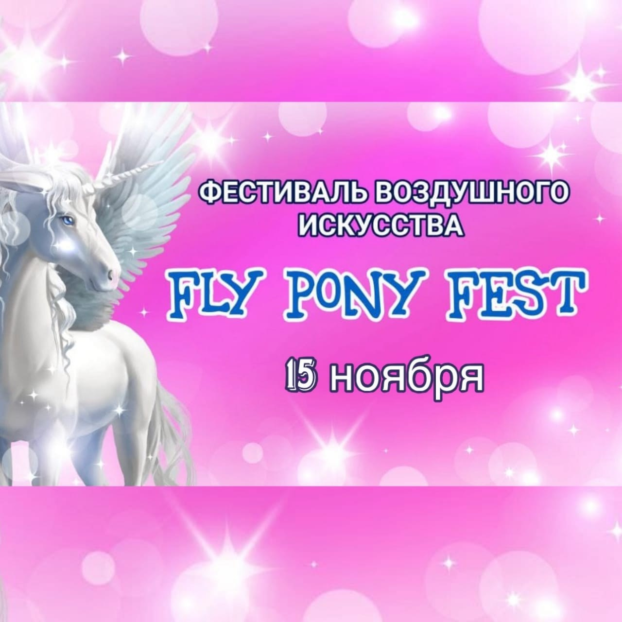 15.11.2025 Фестиваль воздушного искусства Fly Pony Fest. АЛЕКСЕЙ ЗУЕНКОВ. ФОТО И ВИДЕОСЪЕМКА