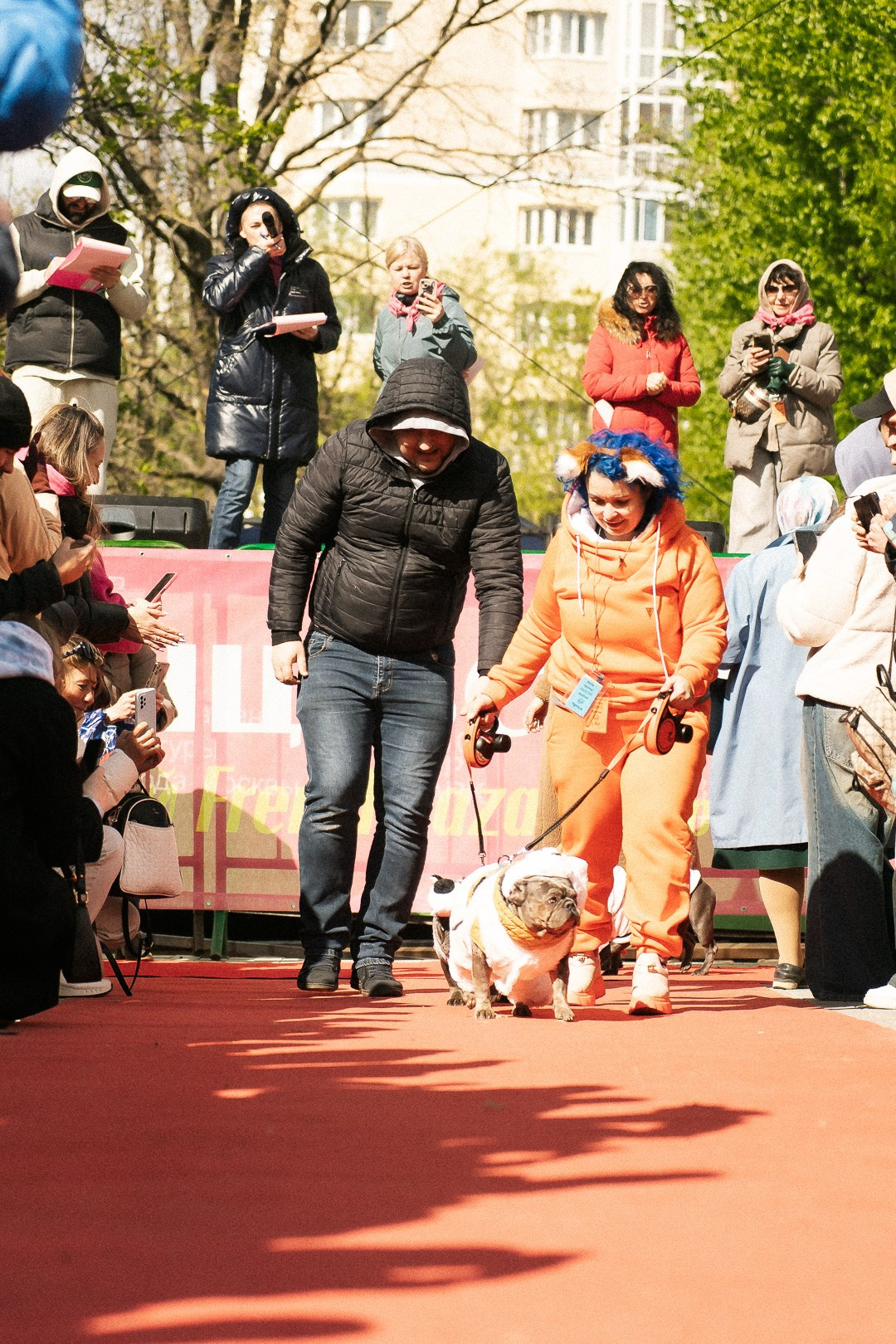 Парад Бульдогов. Axenov_eugene