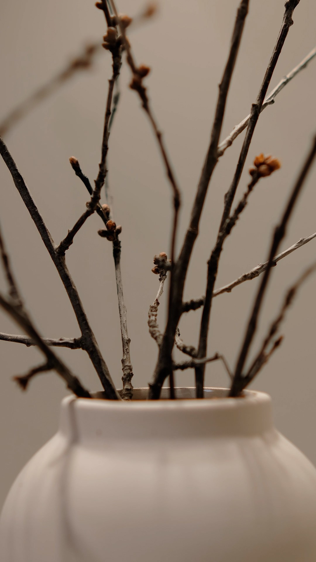 Видеосъемка для бизнеса