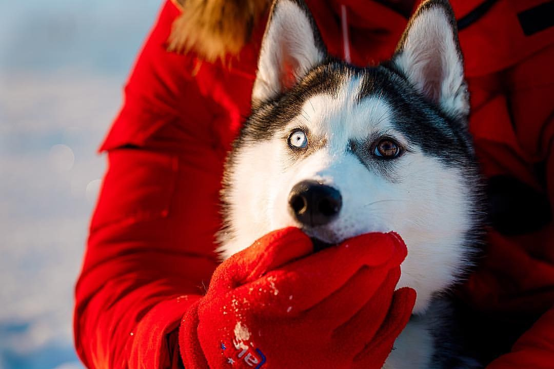 Фотосессии. Семейный и Свадебный фотограф в Астане Александр Астапов