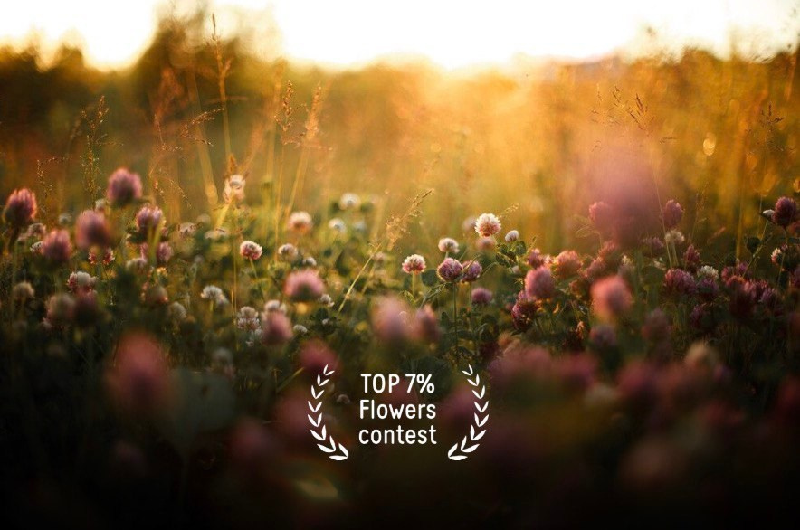 Анастасия Воропаева — фотограф на роды СПб