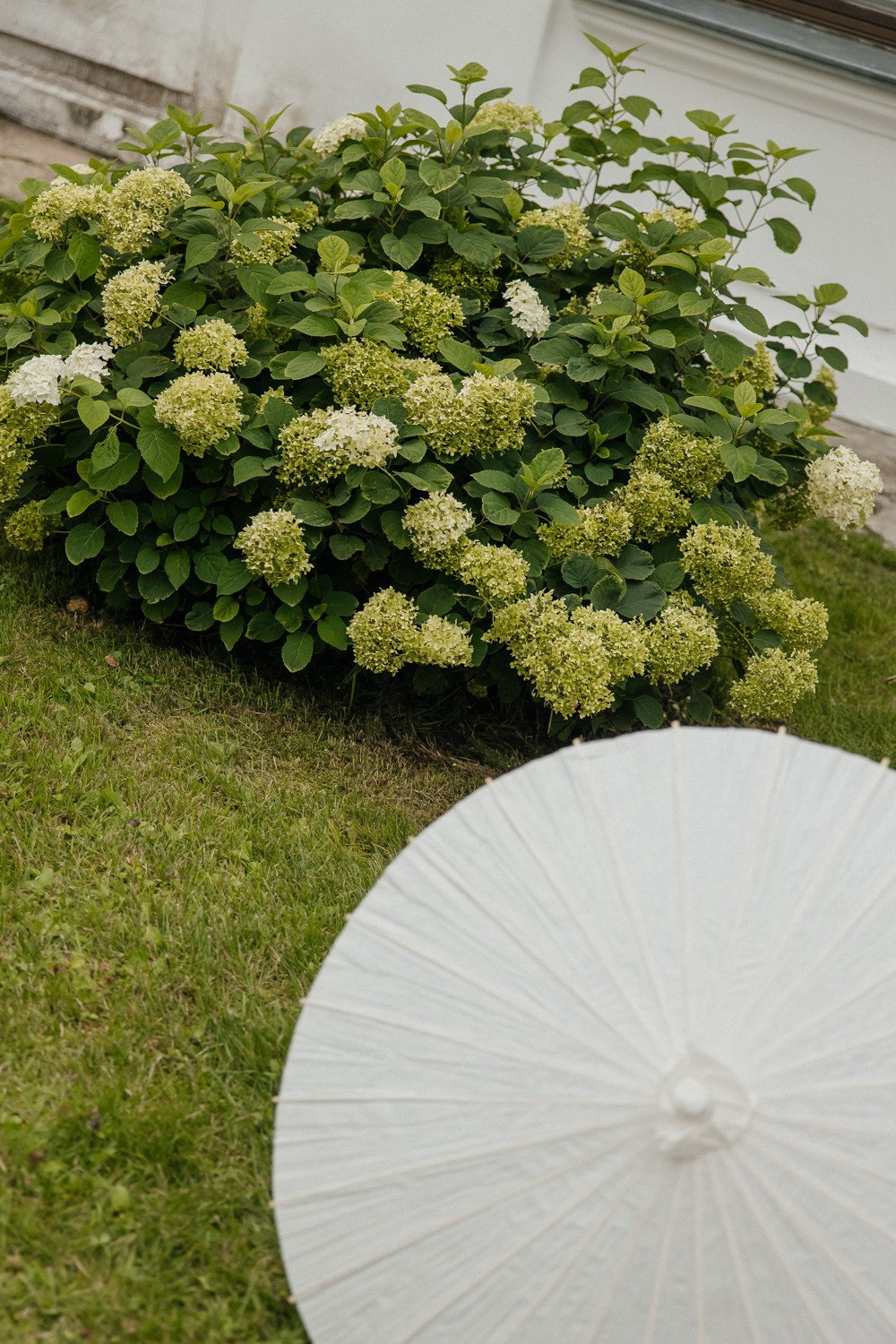 Inspiration for love. Свадебный фотограф Москва