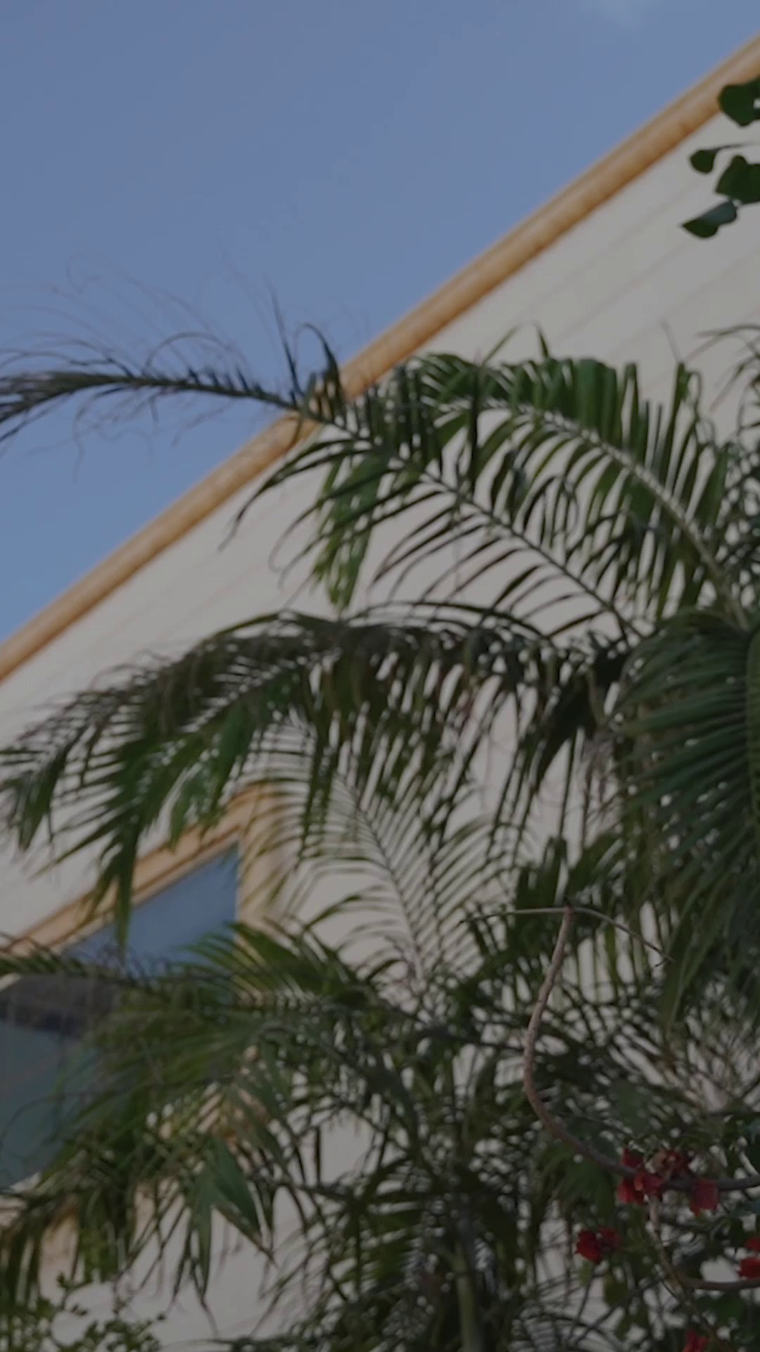 Видеограф семейный в Москве. Фотограф и видеограф в Москве и Абу Даби Мария Кулагина