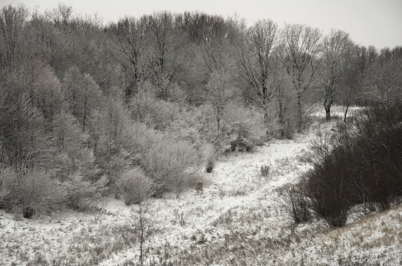 Ростов Великий | 13.12.2015. Галерея Фантим