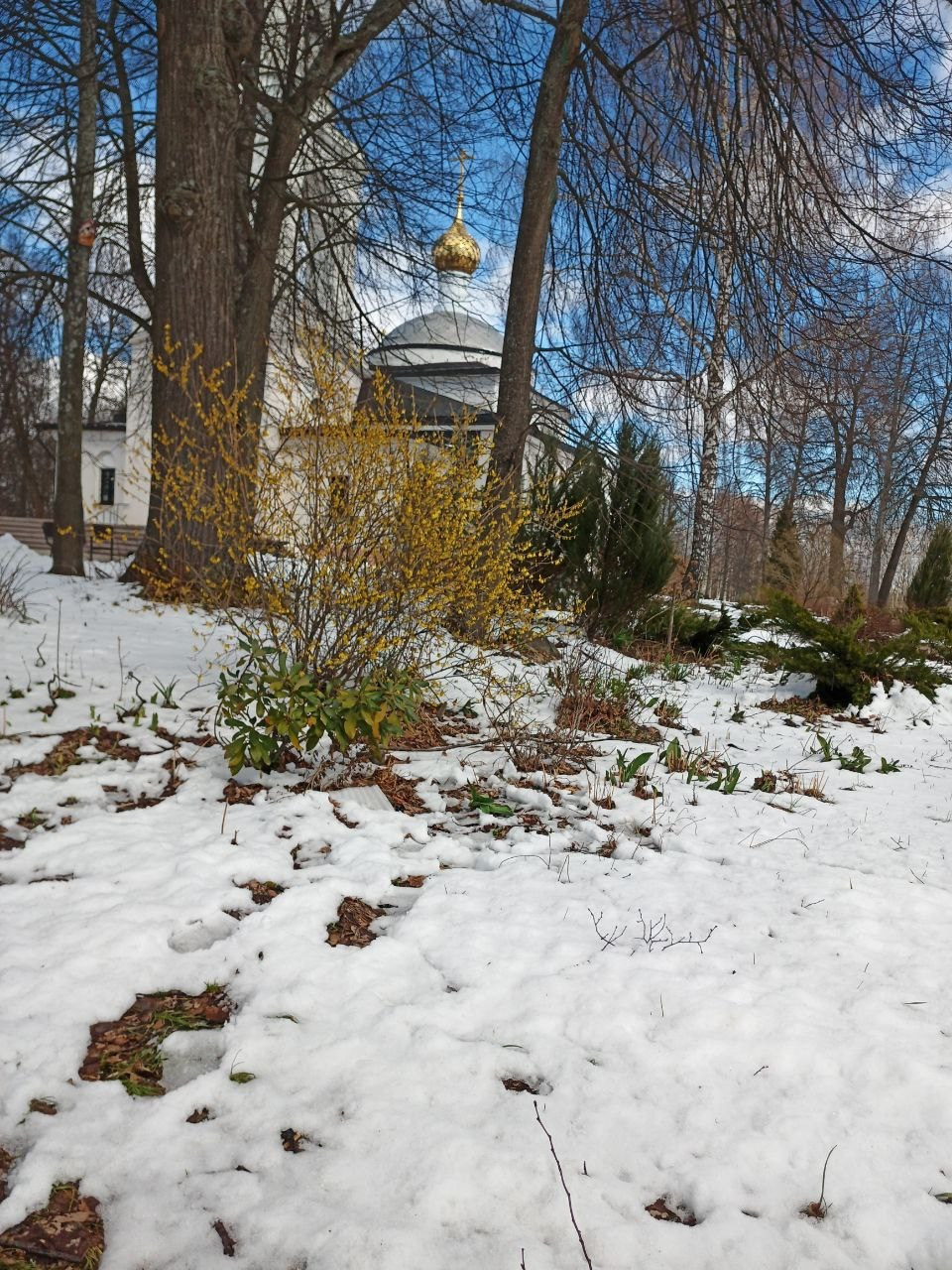 Дубна. Экскурсионная поездка | 12.04.2025. Галерея Фантим