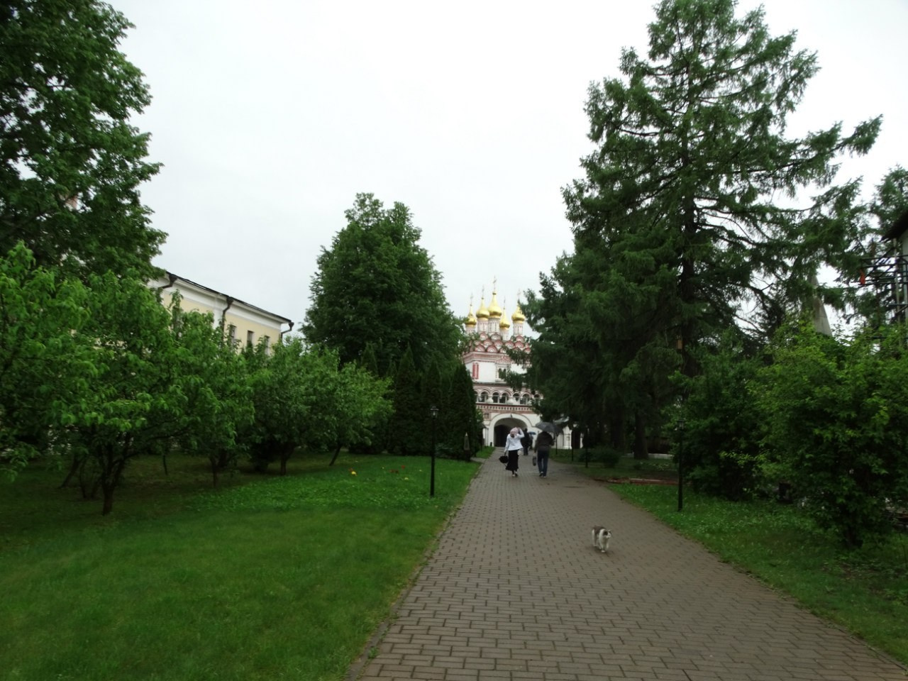 Волоколамск | 04.06.2016 г. Галерея Фантим