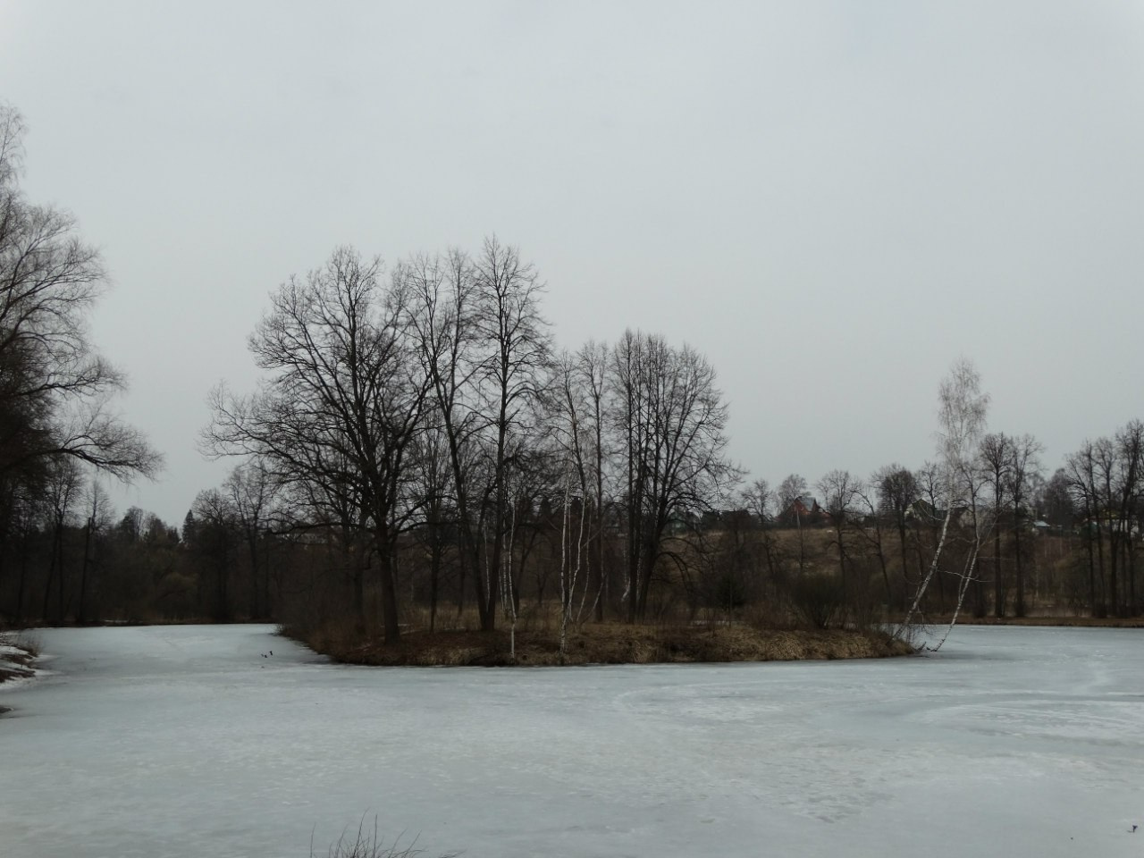 Середниково — Piligrim Porto — Братцево — Сходненская чаша | 09.04.2016. Галерея Фантим