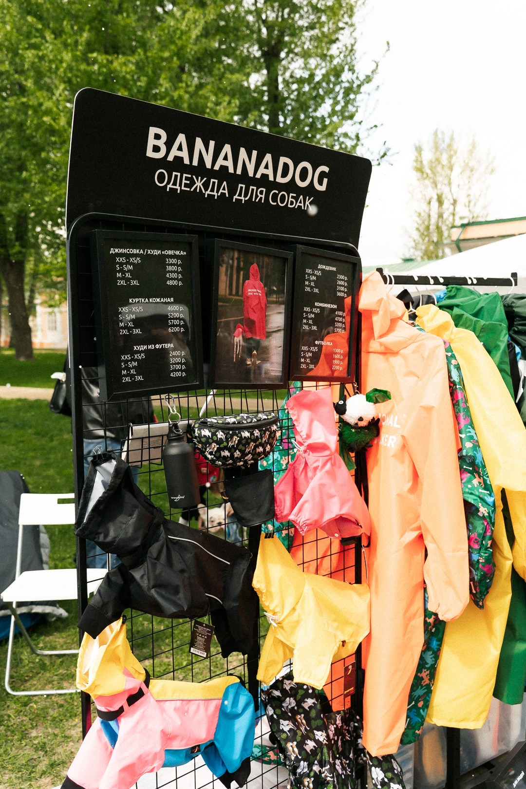 Парад Бульдогов. Axenov_eugene