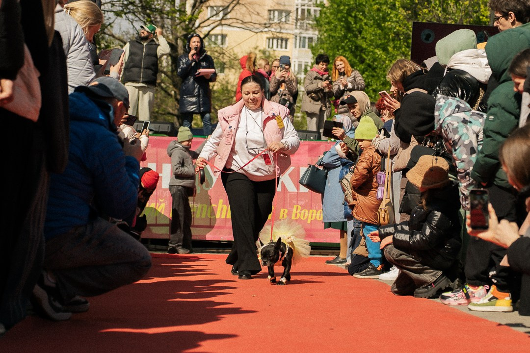 Парад Бульдогов. Axenov_eugene