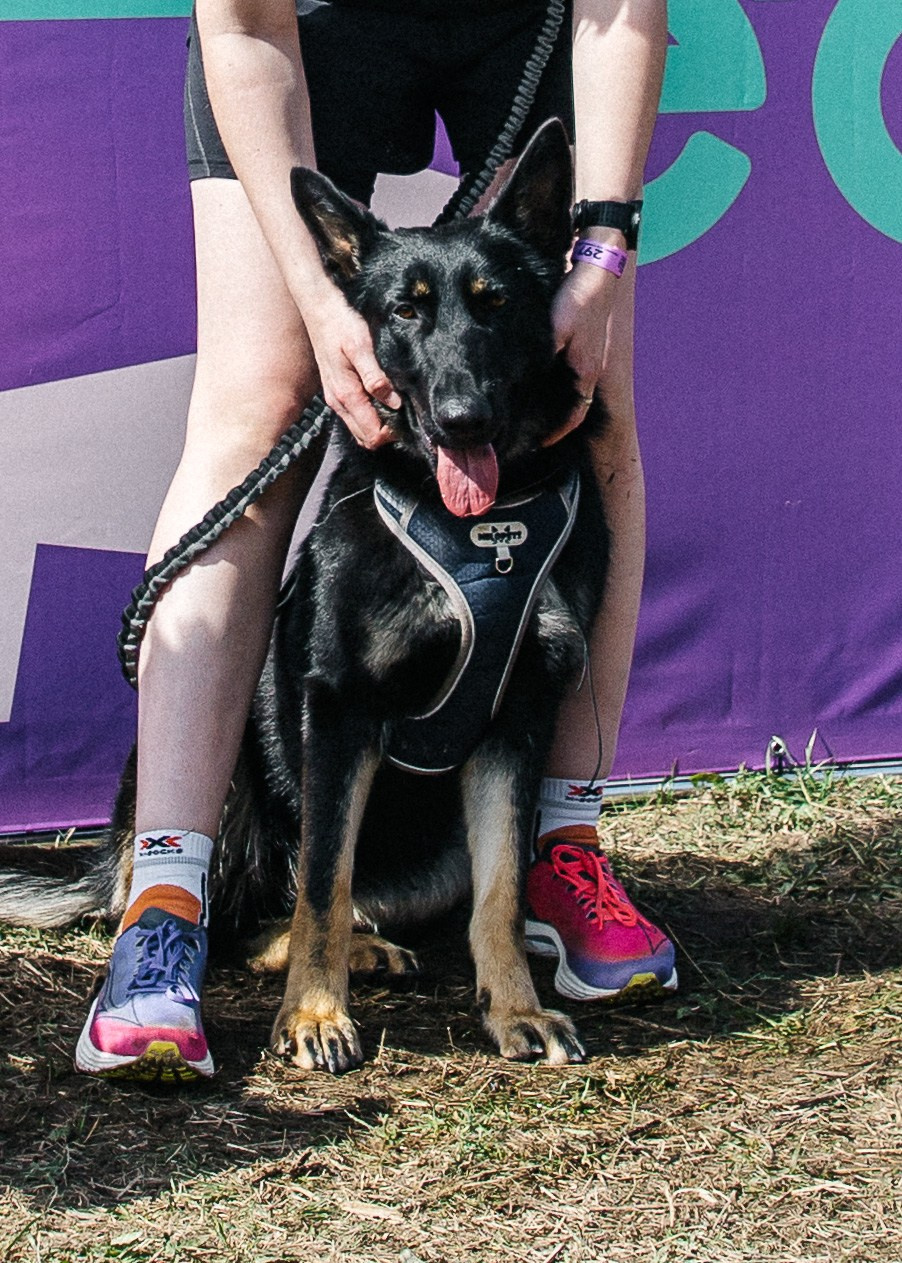 Кросс «Быстрый пёс» 2025. Репортажный фотограф в Москве