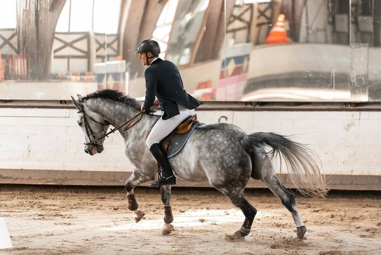 Квалификационные соревнования Московской области по конкуру КСК «Белая Дача». Конный фотограф Куракина Дарья • Фотосессии с лошадьми