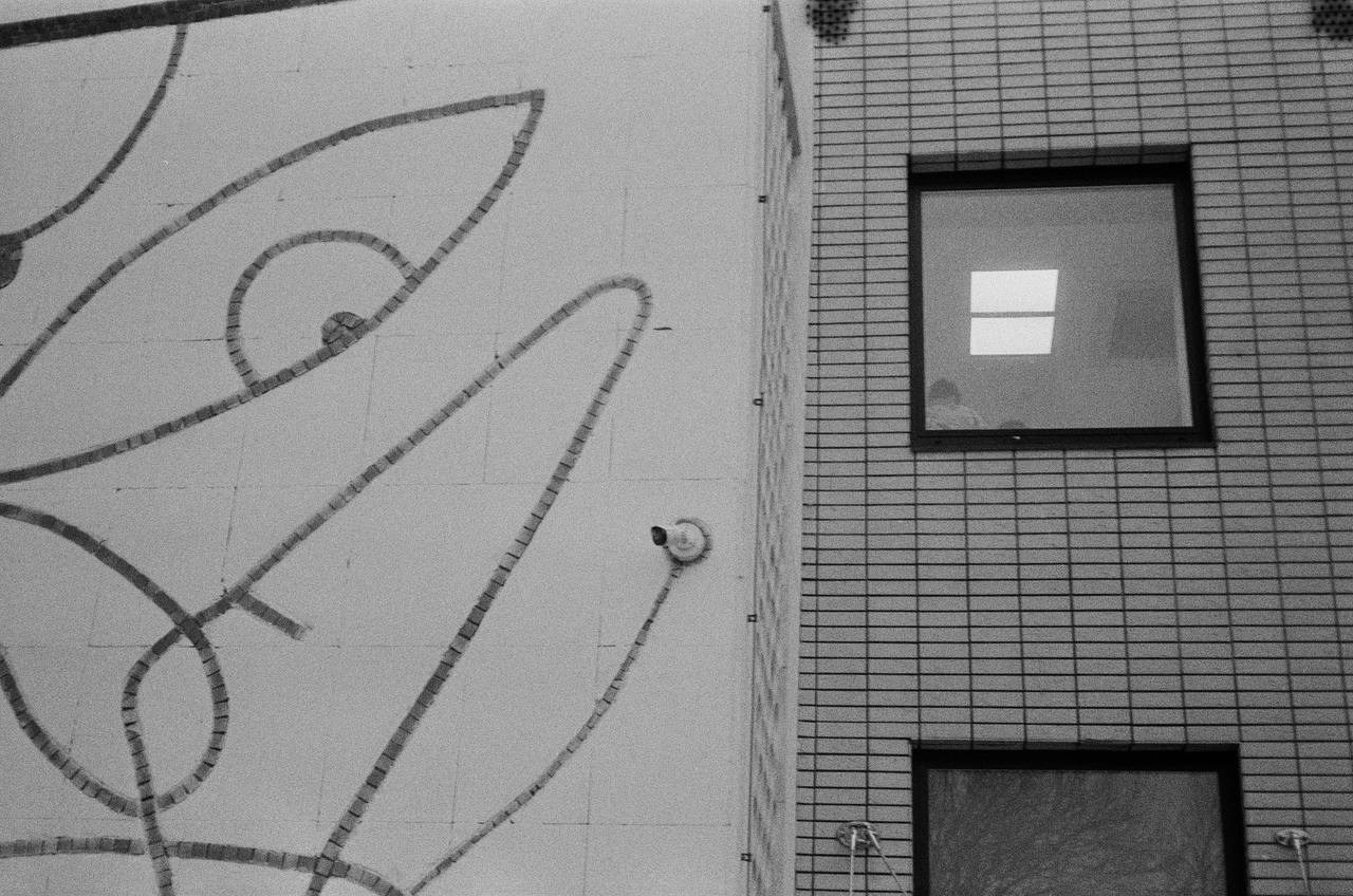 30.11.2024 // Фотоэкскурсия по Воробьевым горам с your_guide_msk. Фотовыставки serebro.gallery, в которых автором можешь стать ты! | Москва