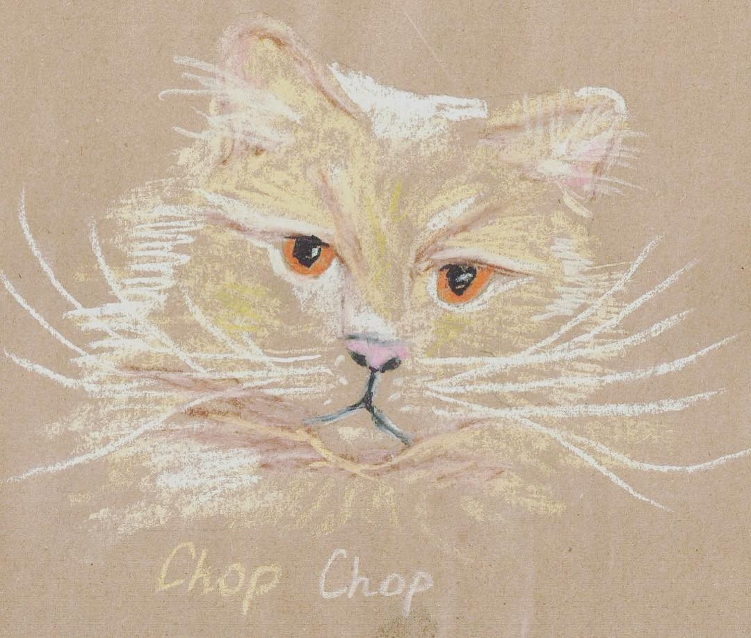 Traditional. Pauline limpoo, media artist