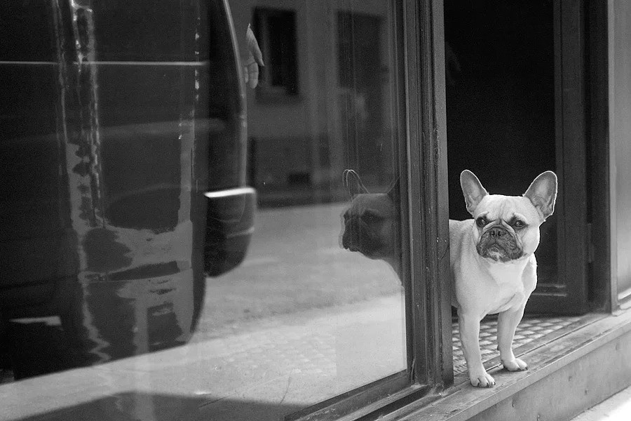 Путешествия. Фотограф Ирина Абзалова